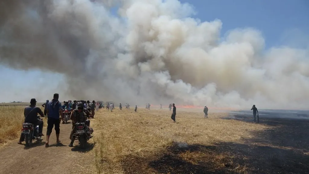 Equipos de extinción de incendios extinguen un gran incendio al este de Tel Hamis