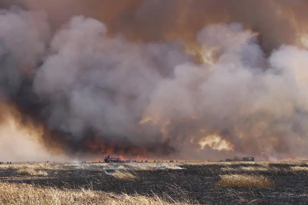 Equipos de extinción de incendios extinguen un gran incendio al este de Tel Hamis