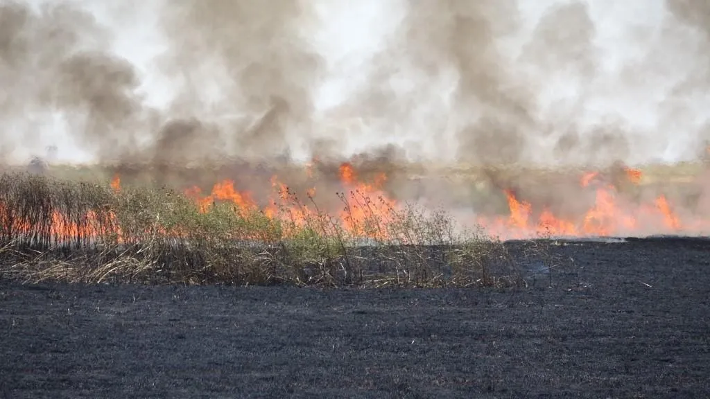 Equipos de extinción de incendios extinguen un gran incendio al este de Tel Hamis
