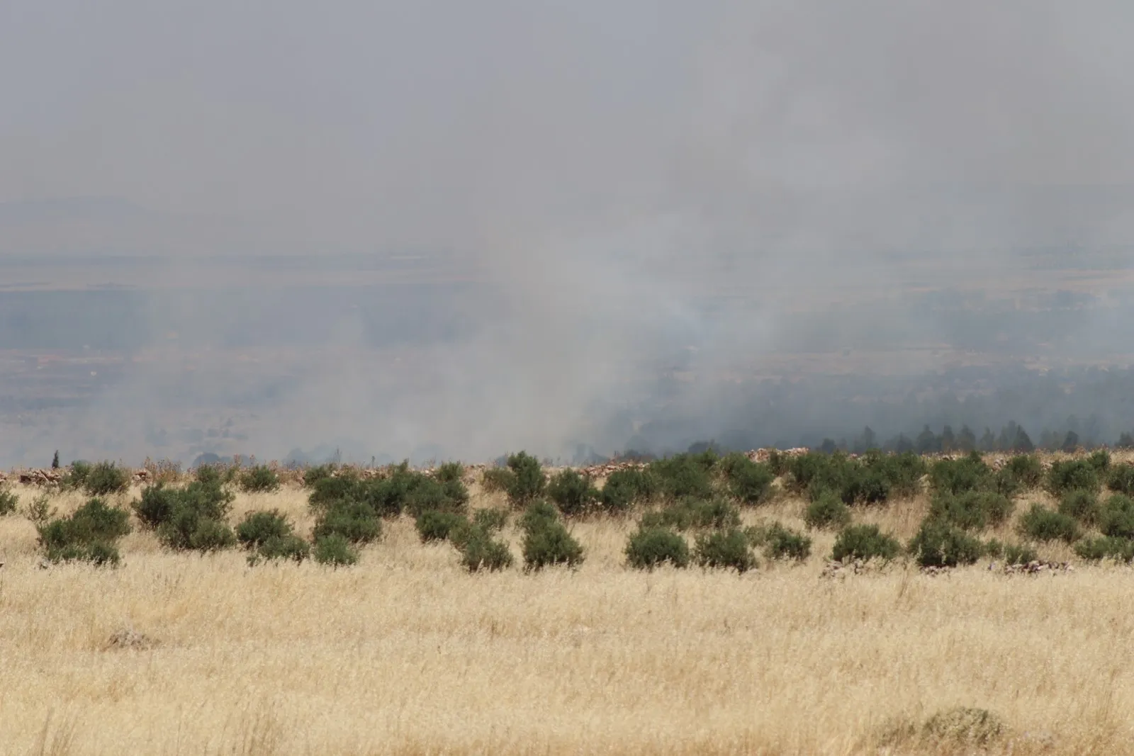 En un nuevo paso contra el pueblo Afrin ... la ocupación intensifica la quema de cultivos