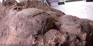Houthis cavando trincheras, plantando minas en Hodeida