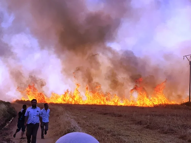 Cosechas de los agricultores vuelven a arder en Tirbe Spiyê y Tel Hamis