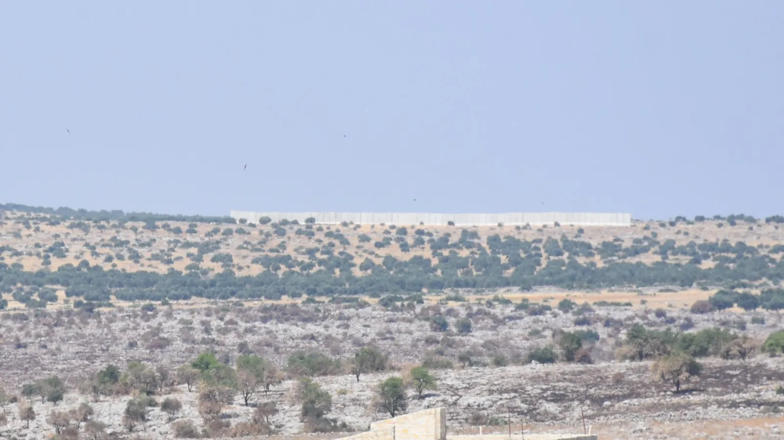 Ciudadanos rechazaron el muro de Turquía haciendo hincapié en la ocupación