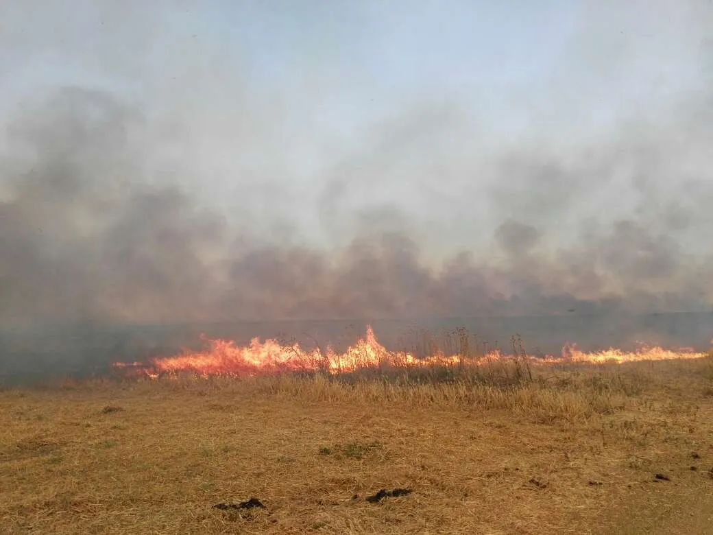 Campos al suroeste de Qamişlo en llamas