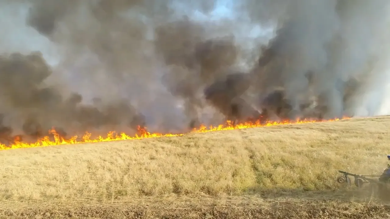 Fuerzas del régimen sirio impiden extinguir el fuego al sur de Qamişlo