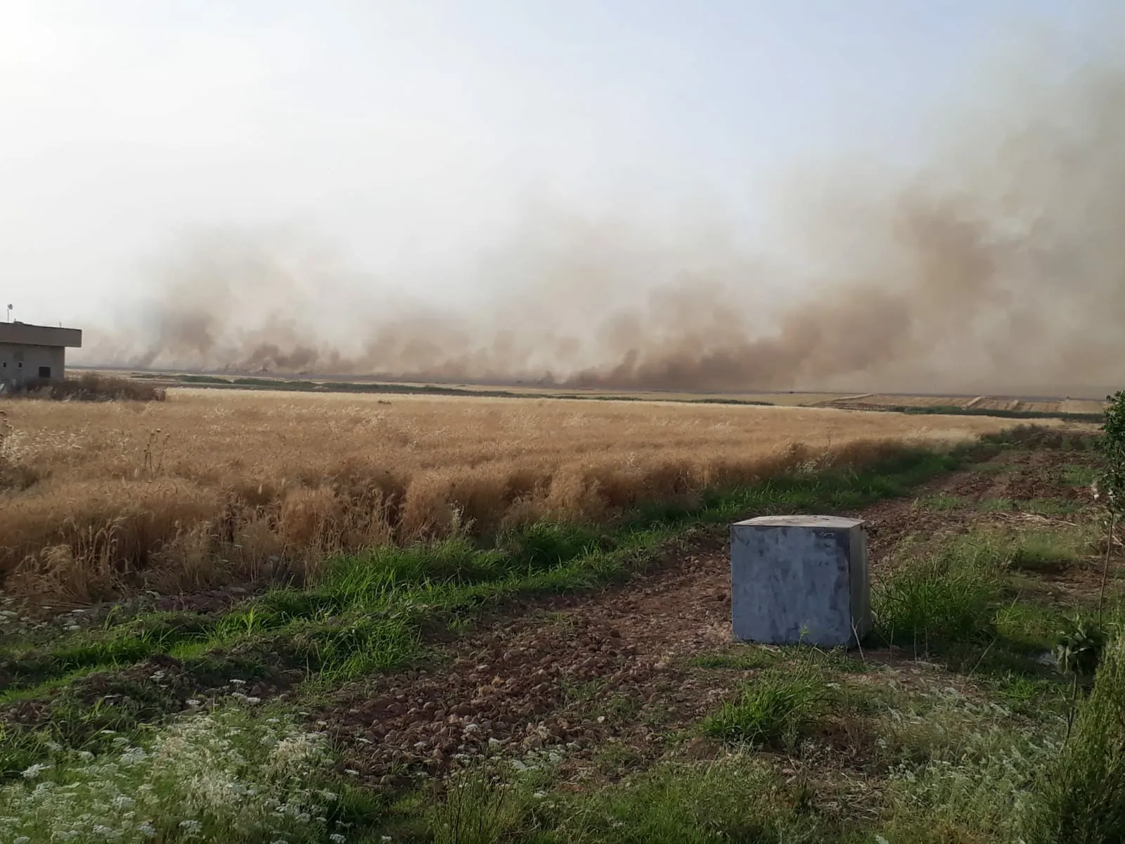 Cultivos de los agricultores Girê Spi en llamas y el ejército turco impide que los extingan
