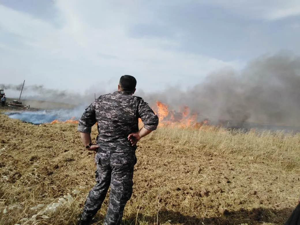 Miles de dunums quemados en Tel Tamir y las fuerzas de seguridad detienen al perpetrador