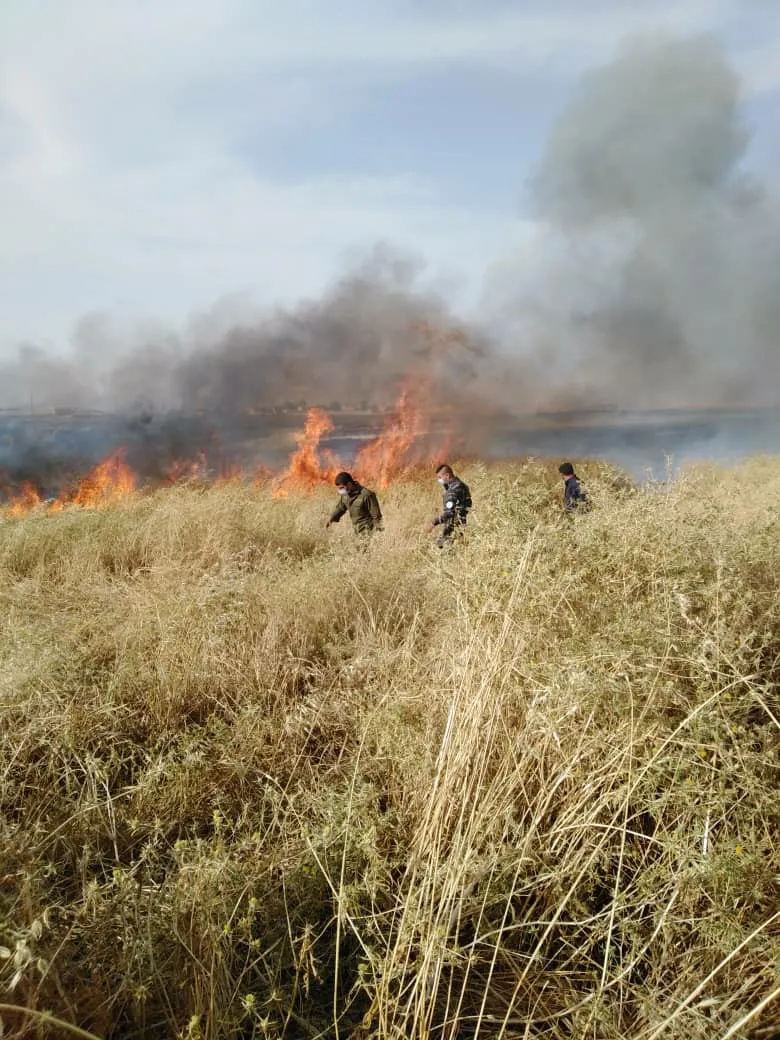 Miles de dunums quemados en Tel Tamir y las fuerzas de seguridad detienen al perpetrador