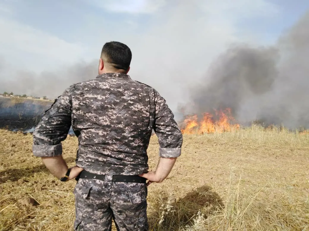 Miles de dunums quemados en Tel Tamir y las fuerzas de seguridad detienen al perpetrador