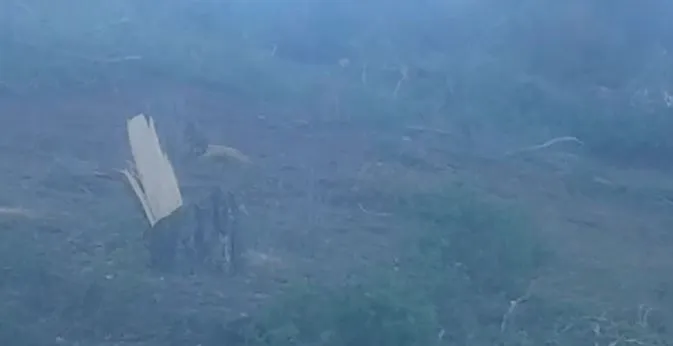 Mercenarios de ocupación turca queman áreas forestales en Mobata