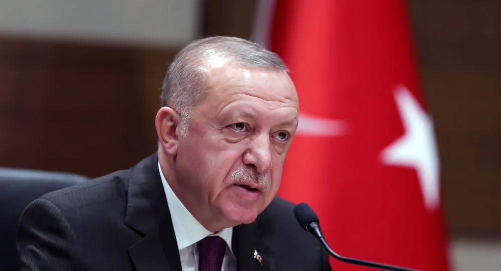 Erdogan: No hemos recibido el apoyo de EE. UU. en Idlib