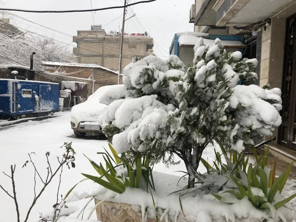 En video... el regalo de invierno enviado a la gente de Qamishlo