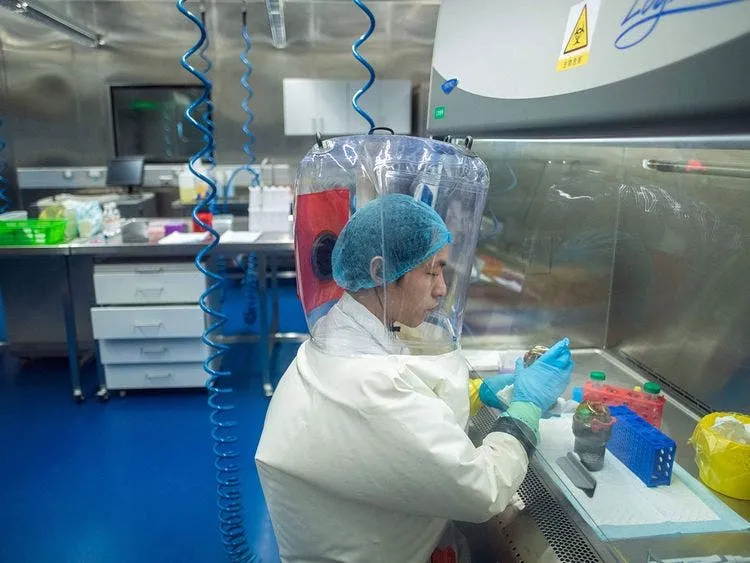 El director del laboratorio de Wuhan niega su responsabilidad por el brote de Corona