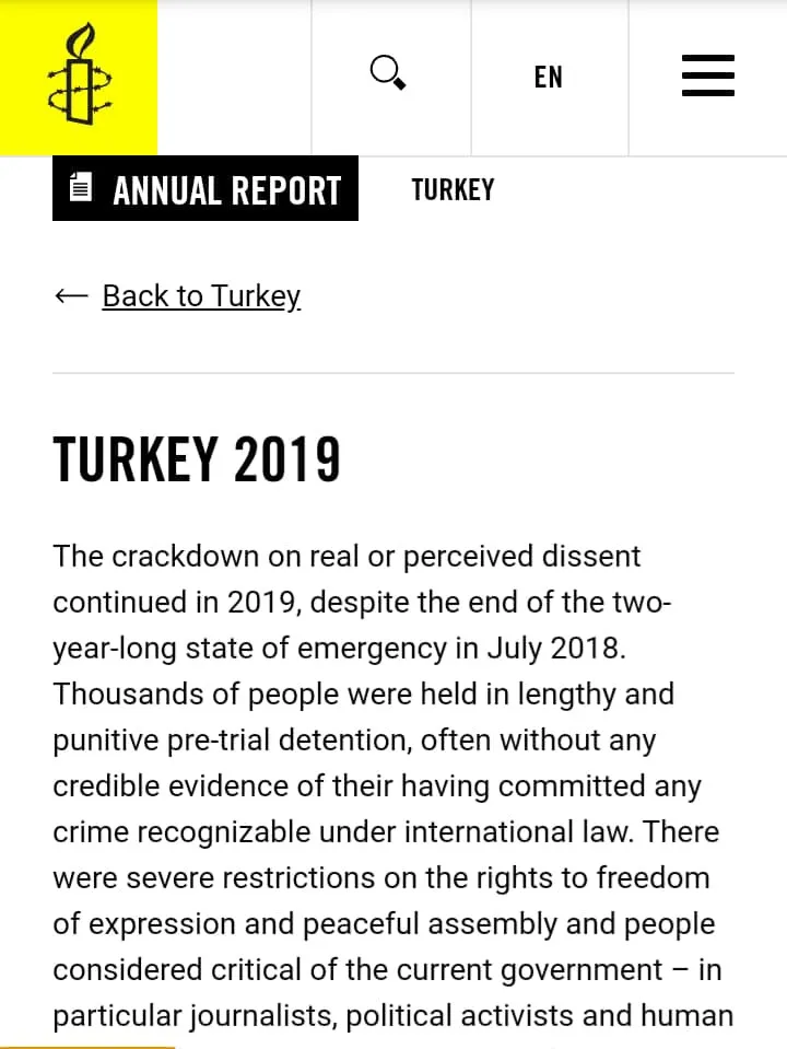 Amnistía Internacional: Turquía continúa la ofensiva contra los opositores en 2019