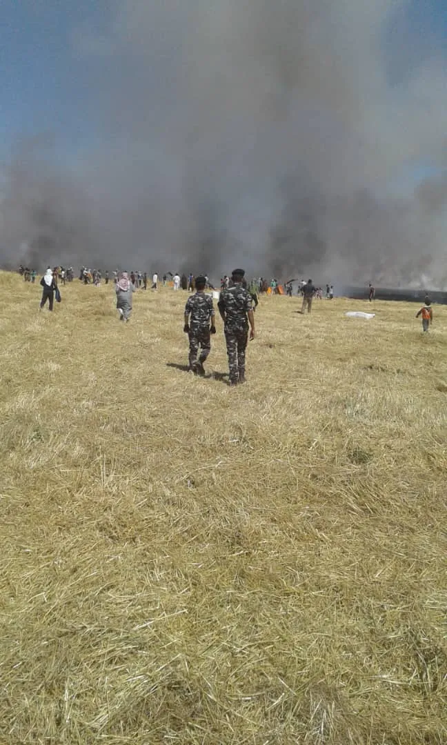 ​​​​​​​Quemaron 150 dunums de campos de trigo y cebada en el campo de Tel Berak
