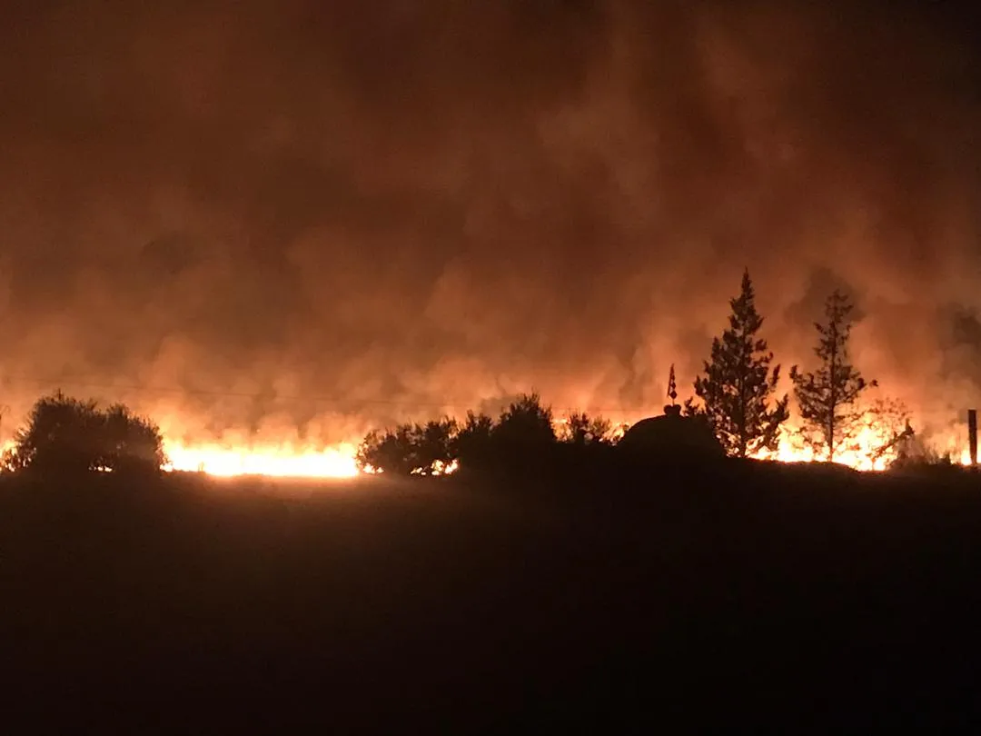 Video... Incendios de ocupación turca devorando cultivos y árboles en Zerkan, campiña de Tel Tamr - ACTUALIZACION