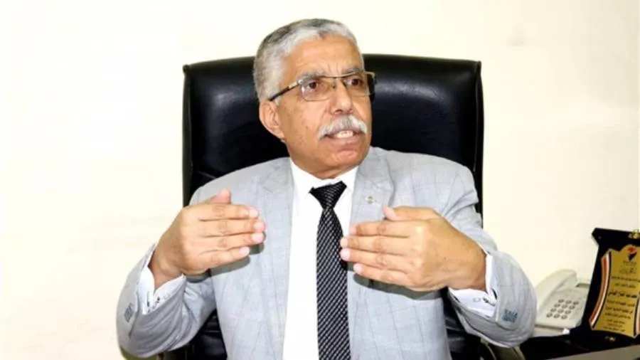 General Mohamed al-Ghobashy: la ocupación de las zonas kurdas en Siria debería recibir atención de los países árabe