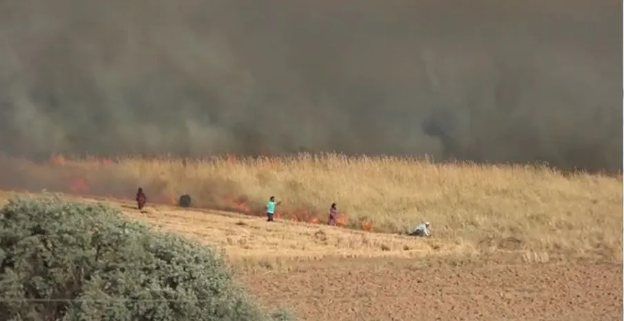 Mercenarios de Turquía prendieron fuego a los cultivos de la gente de las aldeas de Tel Tamr