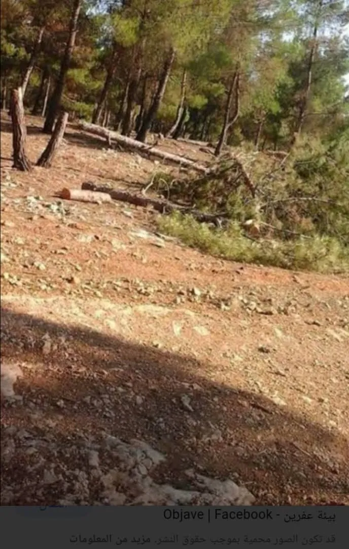 HR: Barrios residenciales en Jinderesse vendidos por las facciones mercenarias por sumas exorbitantes