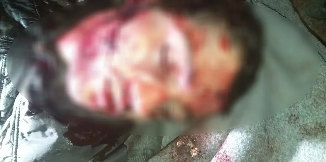 Asesinatos repetidos en el campo de Al-Hol, ¿Cómo entran las armas en el campo?