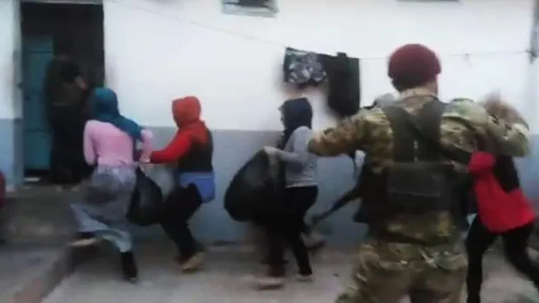 ONG’s de mujeres piden al mundo que solidaricen con las mujeres de Rojava que lucharon contra ISIS