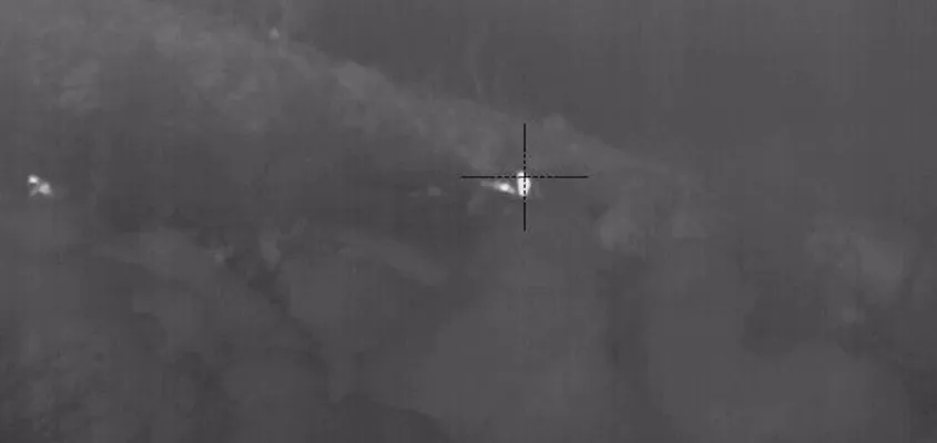 Imágenes de la acción de la guerrilla de las HPG en Zap