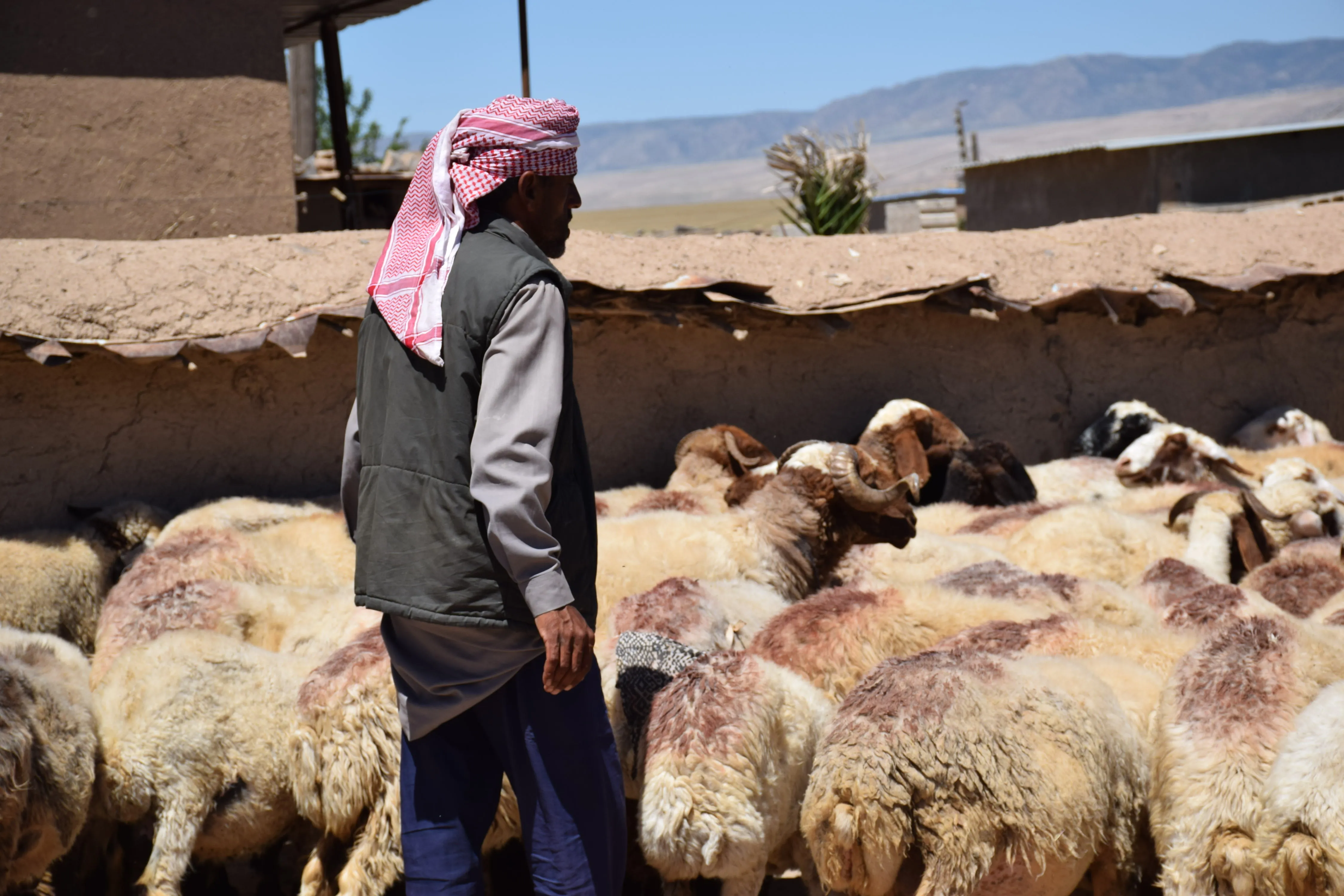La ocupación turca ataca a los habitantes de la aldea fronteriza de Kîl Hesnakê