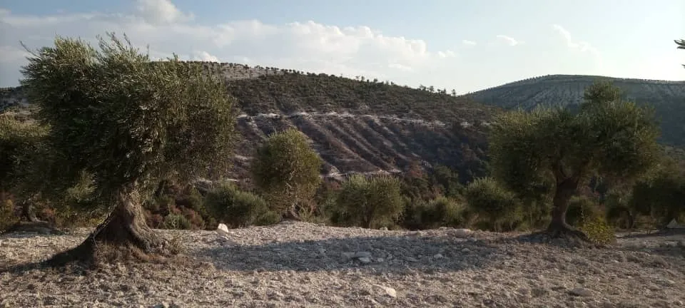 ​​​​​​​ANHA obtiene nuevas fotos que muestran crímenes de Turquía en Afrin ocupado