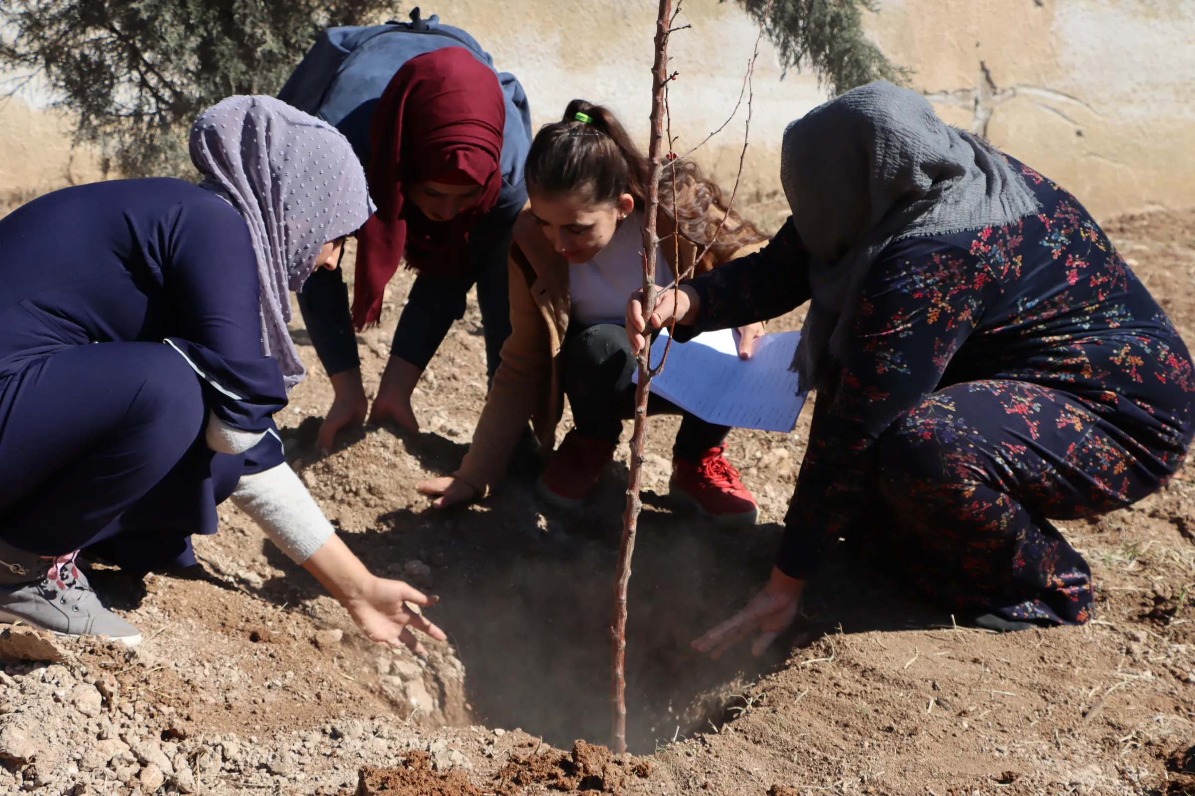 Mujeres inician campaña de plantación de árboles en Qamishlo