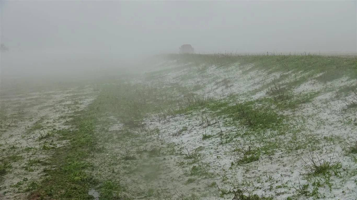 Las fuertes lluvias dañan los campos agrícolas en el distrito de Zirgan