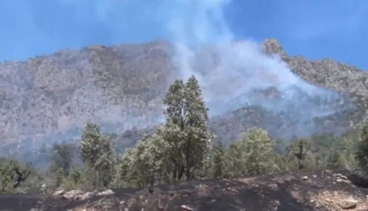 ​​​​​​​El ejercito turco bombardea Bashur Kurdistán