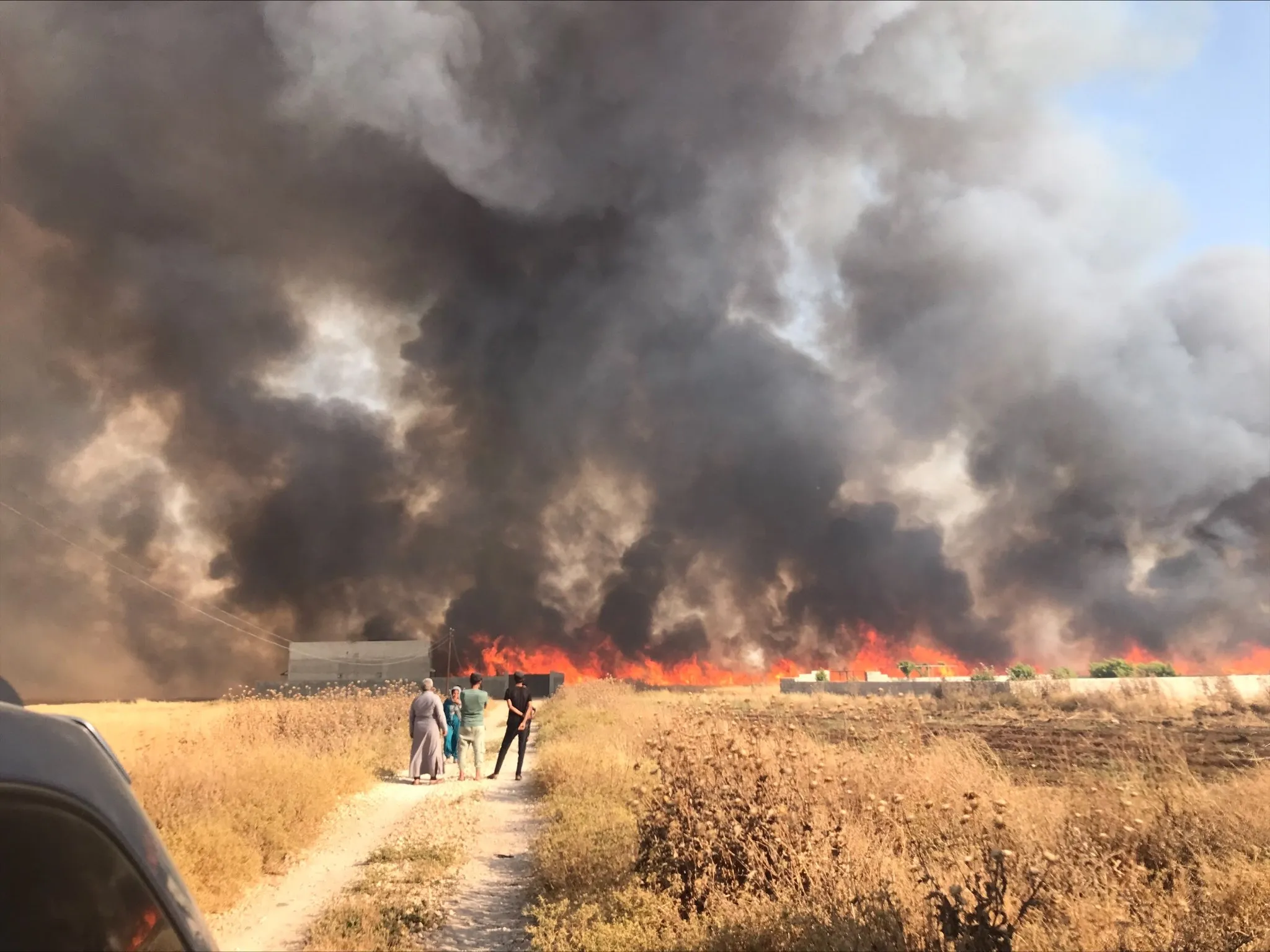 30 hectáreas de campos de trigo están en llamas en Kobanê