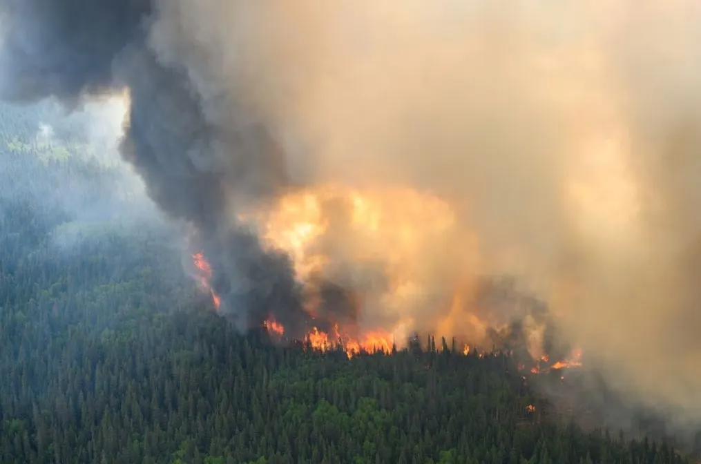 Expertos en clima: El clima se dirige hacia un punto de no retorno