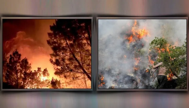 Continúa el fuego en los bosques de Merîwan