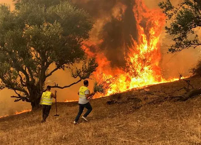 Incendios forestales en Argelia: 15 muertos