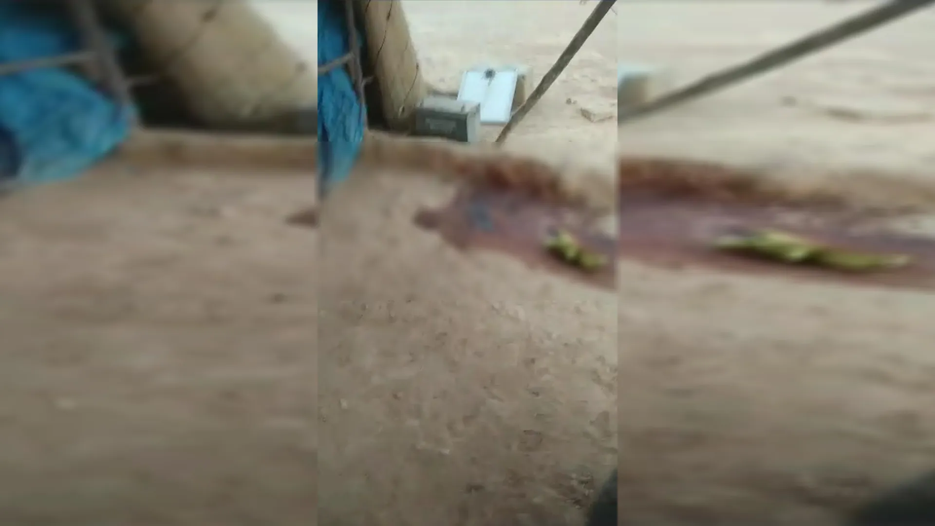 ​​​​​​La ocupación turca comete una masacre en el campo de Ain Issa