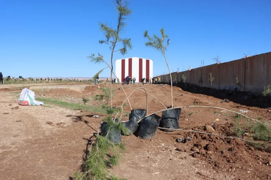 1200 árboles plantados en Qamishlo