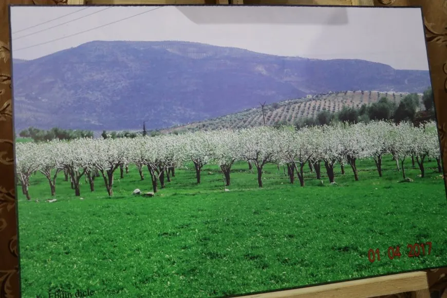 Inaugurada una exposición fotográfica en Shahba