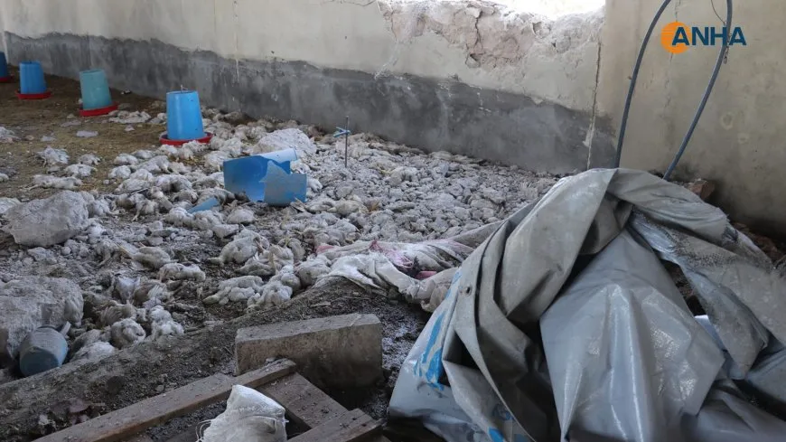 Un ciudadano pierde la vida y un niño resulta herido por el bombardeo turco contra Shahba