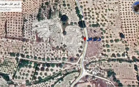 Los mercenarios de la ocupación continúan destruyendo y saqueando ruinas de Afrin