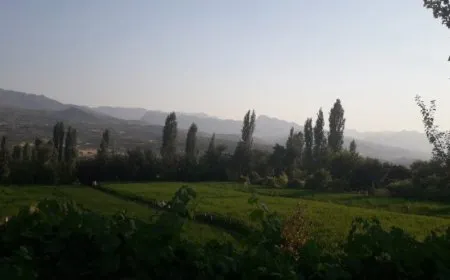 El ejército de ocupación ataca Duhok