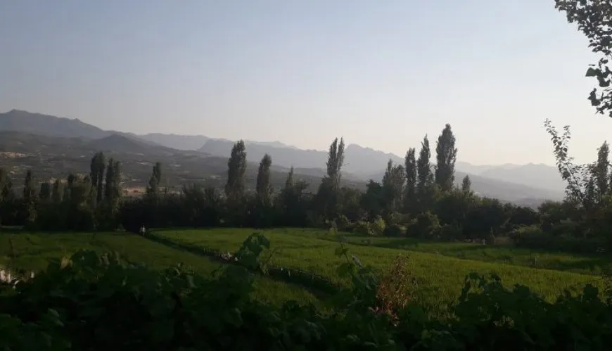 El ejército de ocupación ataca Duhok