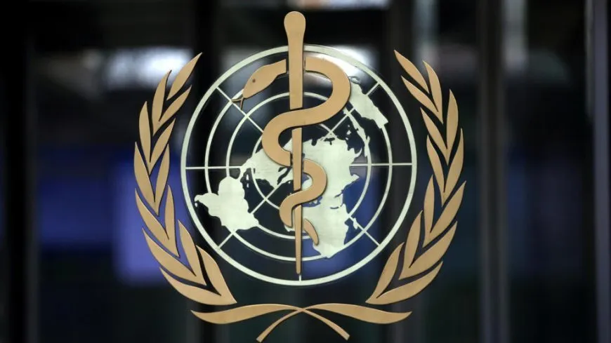 La OMS: Un miembro de nuestro personal muere en un ataque aéreo en Siria