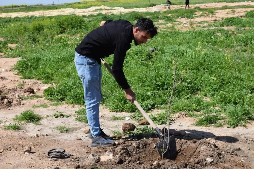 800 árboles plantados para el cumpleaños del líder Abdullah Ocalan