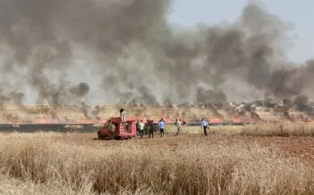 Los bomberos extinguen un incendio en campos de trigo en Çilaxa