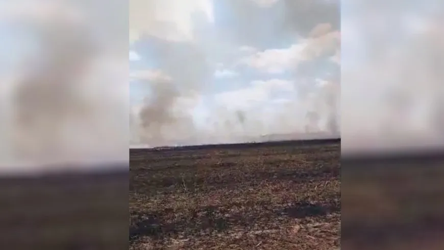 5 acres de campos de trigo arden en el fuego
