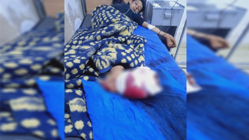 El ejército turco de ocupación ataca Shahba: dos niños heridos