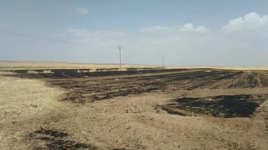 Los bomberos logran apagar el incendio