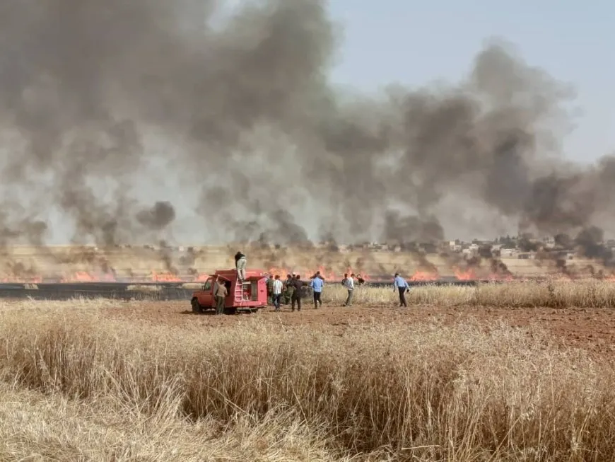 Los bomberos extinguen un incendio en campos de trigo en Çilaxa