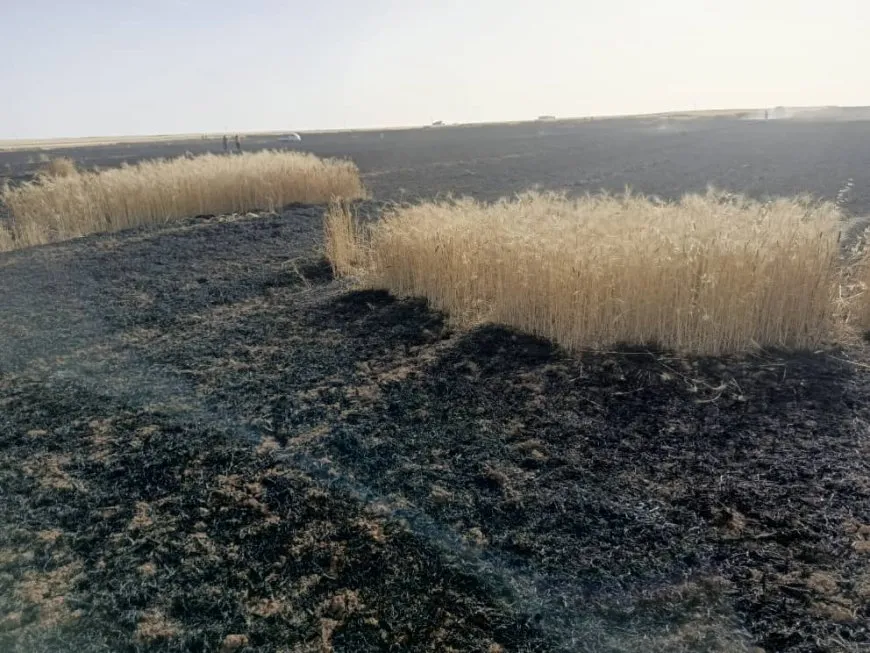 Los bomberos extinguen un incendio en campos de trigo en Çilaxa